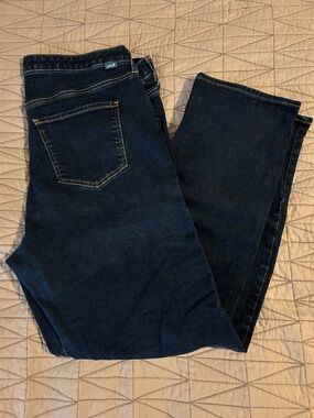 Jag Jeans Dark Blue Straight Leg women’s Jeans